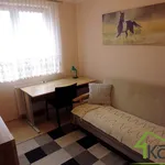 Rent 2 bedroom apartment of 44 m² in Olsztyn