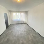 Rent 2 bedroom apartment in Jindřichův Hradec