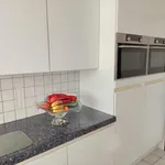 Rent 2 bedroom apartment in Brasschaat