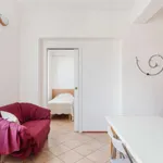 Rent 1 bedroom apartment of 35 m² in bologna