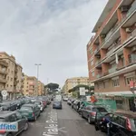 Rent 3 bedroom apartment of 80 m² in Rome