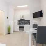 Rent 1 bedroom apartment of 45 m² in Torino