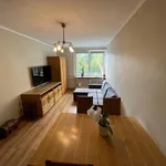 Rent 1 bedroom apartment of 39 m² in Poznan