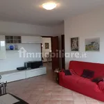 Rent 3 bedroom apartment of 117 m² in Verona