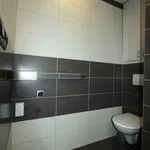 Rent 1 bedroom apartment in České Budějovice