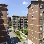 Rent 5 bedroom apartment in Milan