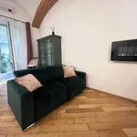 Rent 1 bedroom apartment of 55 m² in torino