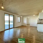 Rent 3 bedroom apartment of 7126 m² in Wien