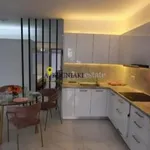 Rent 1 bedroom apartment of 52 m² in Athens