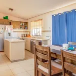 Rent 1 bedroom apartment in Newman