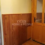 Rent 1 bedroom apartment of 50 m² in Plzeň