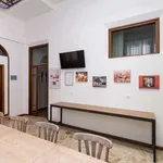 Rent 5 bedroom apartment of 140 m² in bologna