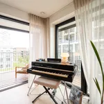 Rent 1 bedroom apartment in Antwerpen