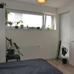 Rent 2 bedroom apartment of 54 m² in Hradec Králové