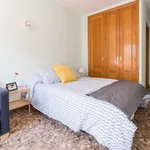 Rent 5 bedroom apartment in Valencia