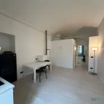 Rent 2 bedroom apartment of 50 m² in Torino