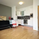 Rent 1 bedroom apartment of 44 m² in Prague