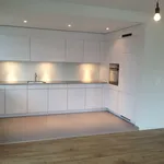 Rent 1 bedroom apartment of 700 m² in Zurich