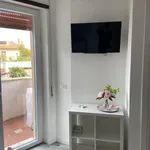 Affitto 2 camera appartamento di 45 m² in Roma