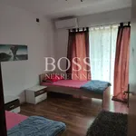 Rent 4 bedroom apartment of 120 m² in Viškovo