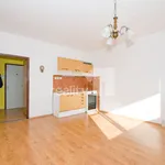 Rent 2 bedroom apartment of 45 m² in Liberec