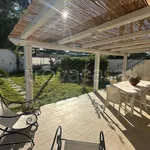 Appartamento in in affitto da privato a Terracina via San Felice Circeo, 7, giardino, da privato, cucina a vista - TrovaCasa