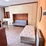 Rent 1 bedroom apartment of 40 m² in Milan