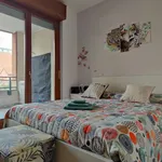 Rent 1 bedroom apartment in milan