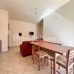 Rent 3 bedroom apartment of 70 m² in Catanzaro