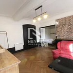 Appartement de 39 m² avec 1 chambre(s) en location à SUR SAONE