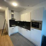 Huur 1 slaapkamer appartement van 40 m² in Putten