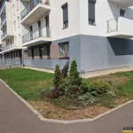 Rent 2 bedroom apartment of 45 m² in Brașov