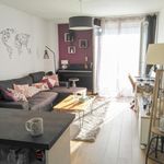 Rent 1 bedroom apartment of 42 m² in Toulouse