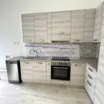 Rent 2 bedroom apartment of 50 m² in Milan