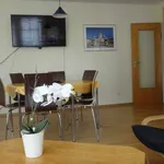 Rent 1 bedroom apartment of 60 m² in berlin