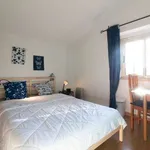 Rent a room of 100 m² in lisbon