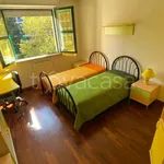 Rent 3 bedroom apartment of 100 m² in Perugia