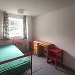 Rent 5 bedroom flat in Winchester