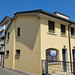 Rent 1 bedroom house of 65 m² in Rovigo