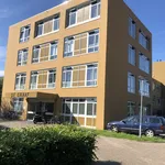 Studio of 29 m² in Arnhem