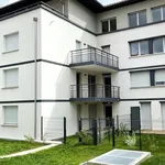 Rent 3 bedroom apartment of 57 m² in Tournefeuille