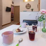 Rent 1 bedroom apartment of 45 m² in turin