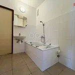 Rent 2 bedroom apartment of 64 m² in Frýdek-Místek