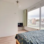 Huur 2 slaapkamer appartement van 47 m² in Oude Gracht-West