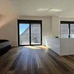 Rent 3 bedroom apartment of 146 m² in Nuremberg