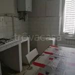 Rent 5 bedroom apartment of 130 m² in Parma