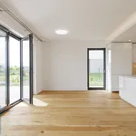 Pronájem domu 175m² s pozemkem 878m²