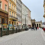 Rent 1 bedroom house in Karlovy Vary