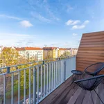 Rent 1 bedroom apartment of 31 m² in Berlin