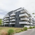 Rent 2 bedroom apartment of 42 m² in Billère